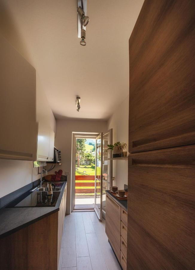 Cortina-House Apartment Кортина д'Ампецо Екстериор снимка